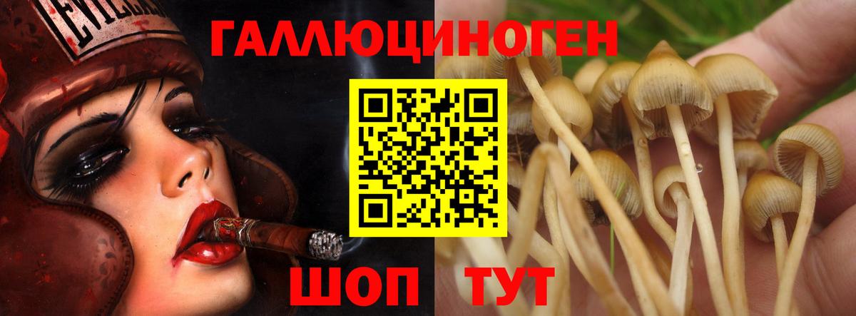 Галлюциногенные грибы ЛСД  Галлюциногенные грибы MAGIC MUSHROOMS  Зеленодольск  Вход с VPN 